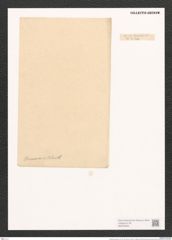 Surirella demerarae A. Schm. (de-Toni-Nr.: Genus 53, Species 2392) Zeichnungen Sammlung Grunow (NHMW-BOT-W0372945)